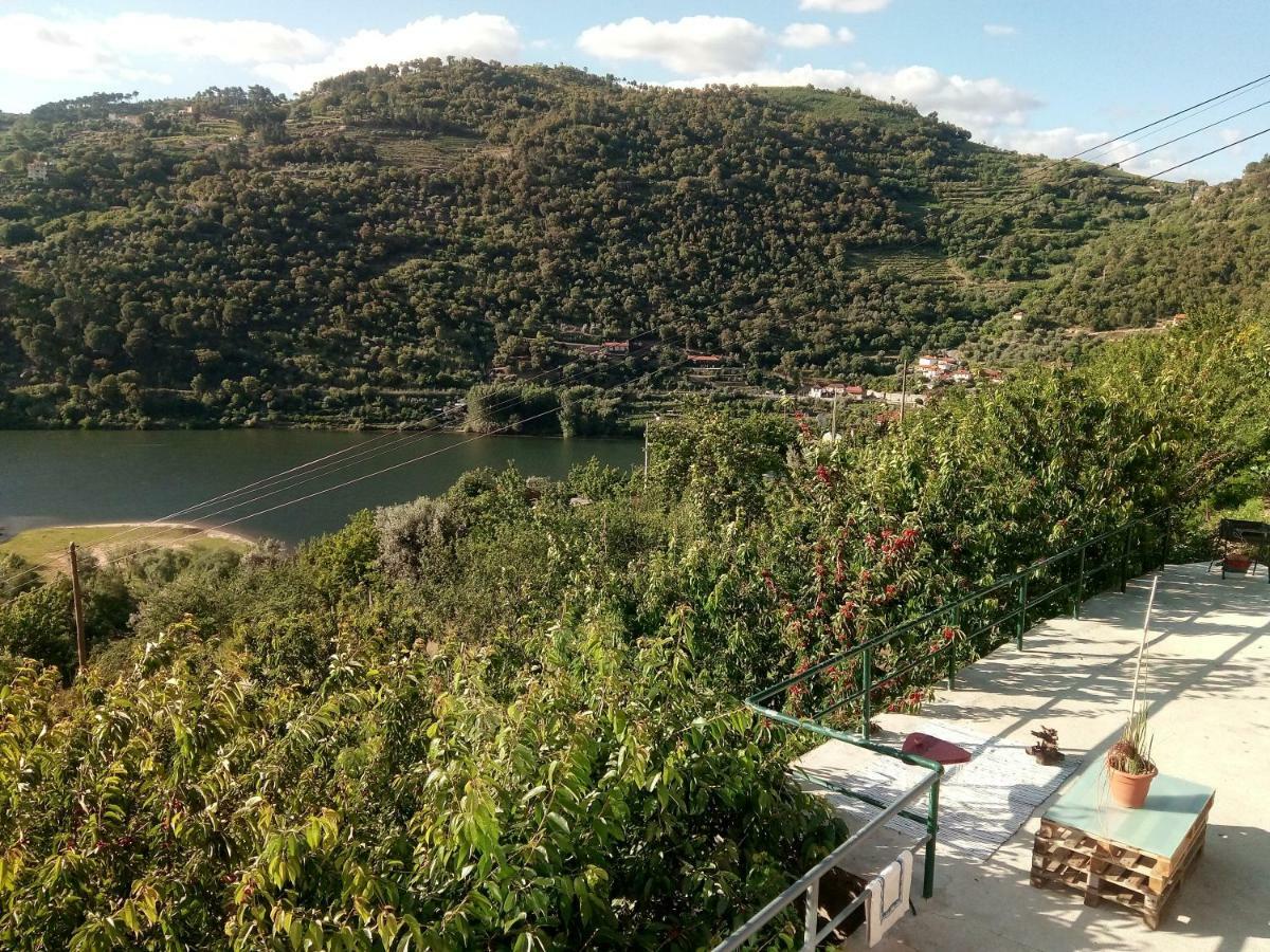 Villa Douro Balcony Resende Esterno foto